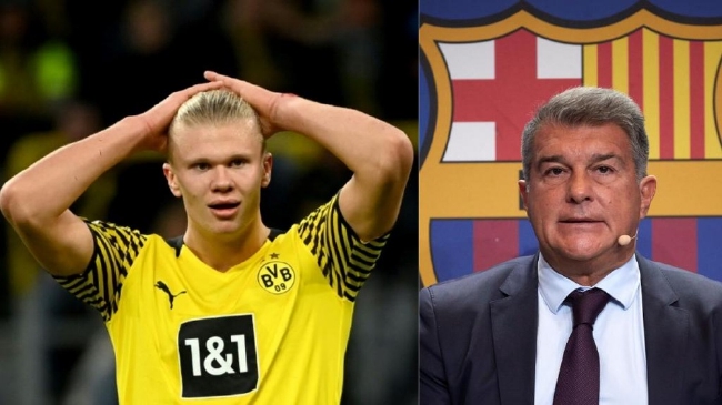 字母哥31+8+11 雄鹿惜败掘金